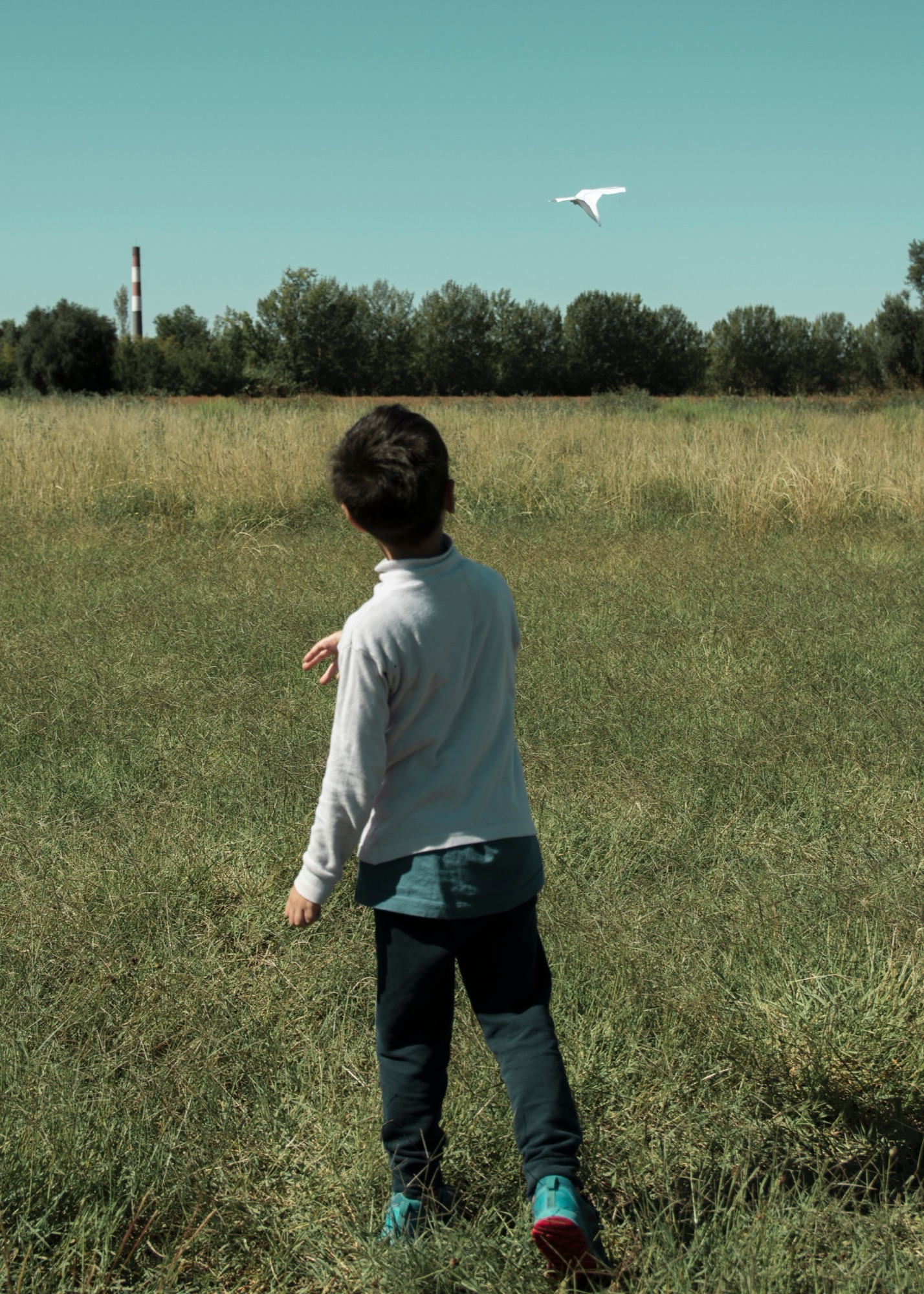 A child watching their paper airplane sail across the sky